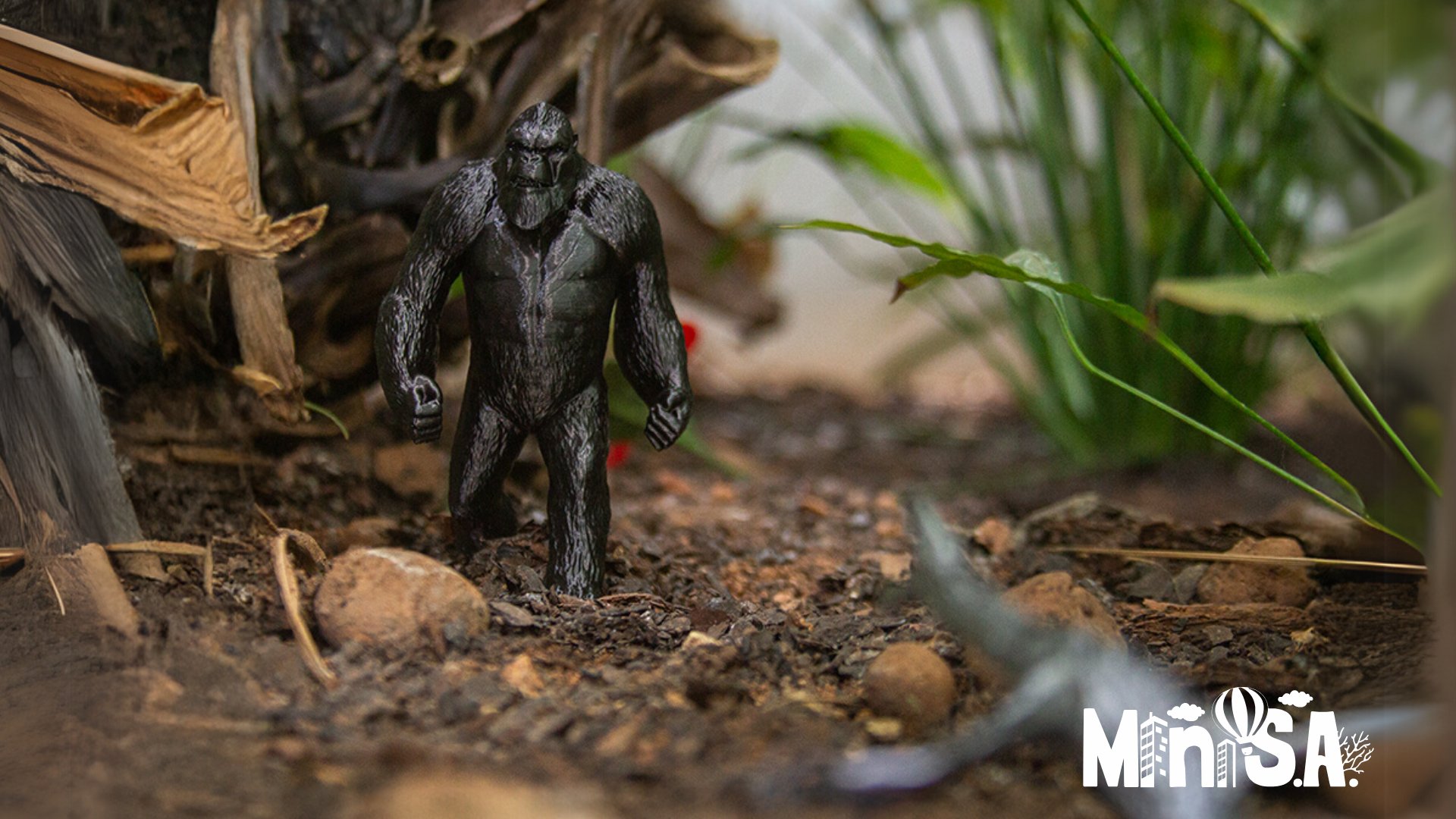 Imagem do Portfolio Mini S.A.