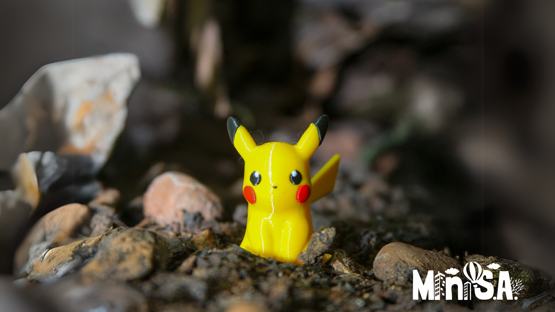 Imagem do Portfolio Mini S.A.